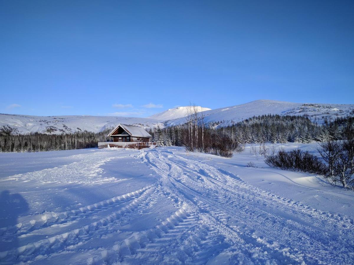 Gljufurbustathir Holiday Homes Hveragerdi Zewnętrze zdjęcie